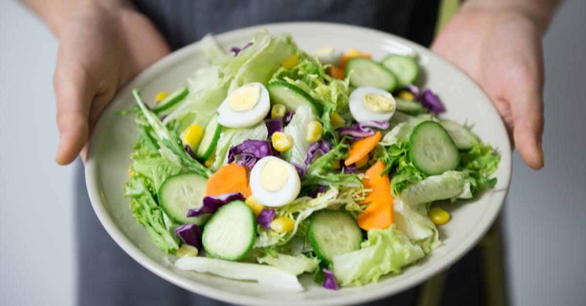 découvrez l'importance d'une nutrition équilibrée pour votre santé et votre bien-être. apprenez des conseils pratiques, des recettes nutritives et les bienfaits des aliments pour optimiser votre alimentation au quotidien.