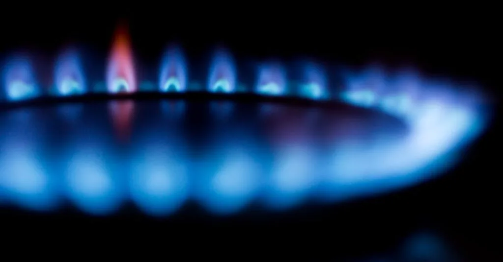 découvrez les bienfaits de la chaleur pour le bien-être et le confort. apprenez comment la chaleur peut être utilisée pour soulager les douleurs, améliorer la circulation sanguine et créer une atmosphère accueillante dans votre espace de vie.