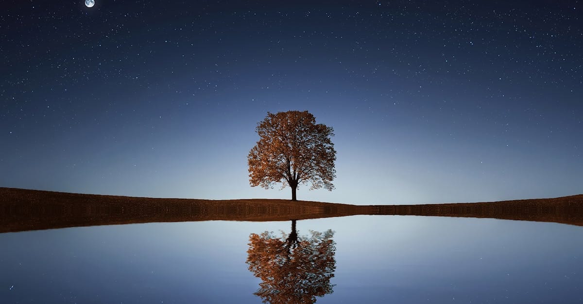 découvrez l'art de la relaxation : des techniques efficaces pour apaiser votre esprit, réduire le stress quotidien et améliorer votre bien-être. plongez dans un univers de sérénité et de tranquillité.