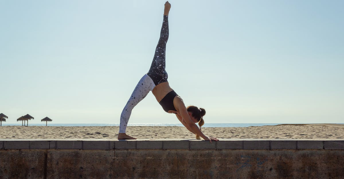 découvrez l'ashtanga yoga, une pratique dynamique et fluide qui harmonise le corps et l'esprit. plongez dans une série de postures synchronisées avec la respiration pour renforcer votre souplesse, votre force et votre concentration. que vous soyez débutant ou pratiquant avancé, explorez les bénéfices de cette méthode ancestrale pour améliorer votre bien-être général.