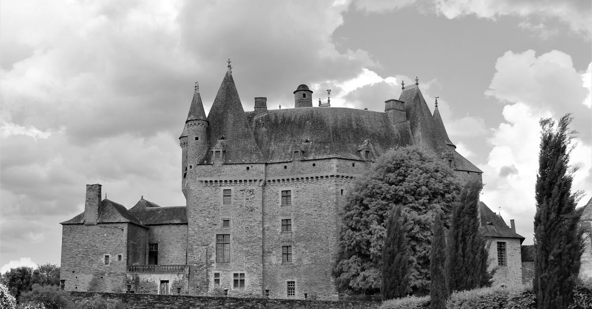 découvrez l'univers fascinant des châteaux, ces monuments historiques chargés d'histoire et de mystère. explorez leur architecture majestueuse, leurs jardins enchanteurs et les légendes qui les entourent. plongez dans le patrimoine culturel français à travers nos visites guidées, événements et anecdotes captivantes.