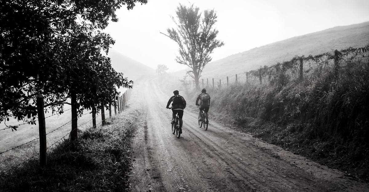 découvrez le monde du cyclisme : conseils, itinéraires, équipements et techniques pour profiter pleinement de votre passion. rejoignez une communauté de cyclistes et partez à l'aventure sur deux roues.