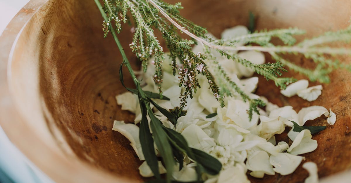 découvrez l'importance de la gratitude dans votre vie quotidienne. apprenez comment exprimer votre reconnaissance peut transformer vos relations et améliorer votre bien-être. explorez des conseils pratiques pour cultiver un esprit de gratitude et en faire une habitude enrichissante.