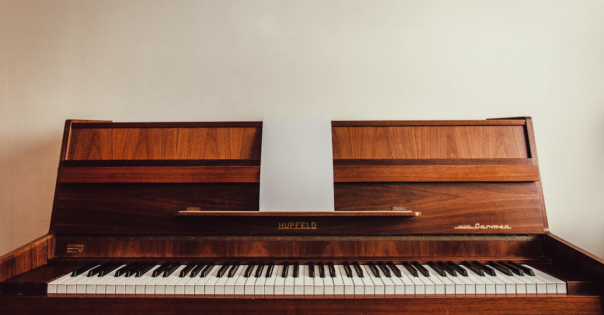 découvrez l'essence de l'harmonie à travers nos articles et conseils, explorant comment instaurer équilibre et sérénité dans votre vie quotidienne. plongez dans un univers où chaque élément trouve sa place, créant ainsi une symphonie parfaite au sein de votre intérieur et de vos relations.