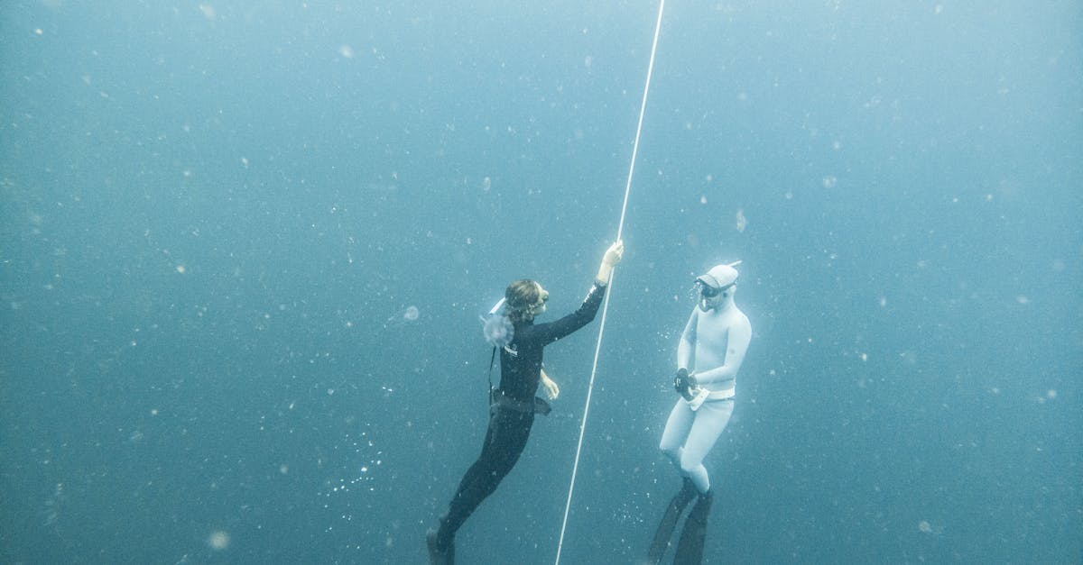 découvrez le néoprène, un matériau innovant et polyvalent, idéal pour les vêtements de surf, les combinaisons de plongée et les accessoires de sport. explorez ses propriétés isolantes, sa durabilité et ses applications variées dans le monde de la mode et des loisirs aquatiques.