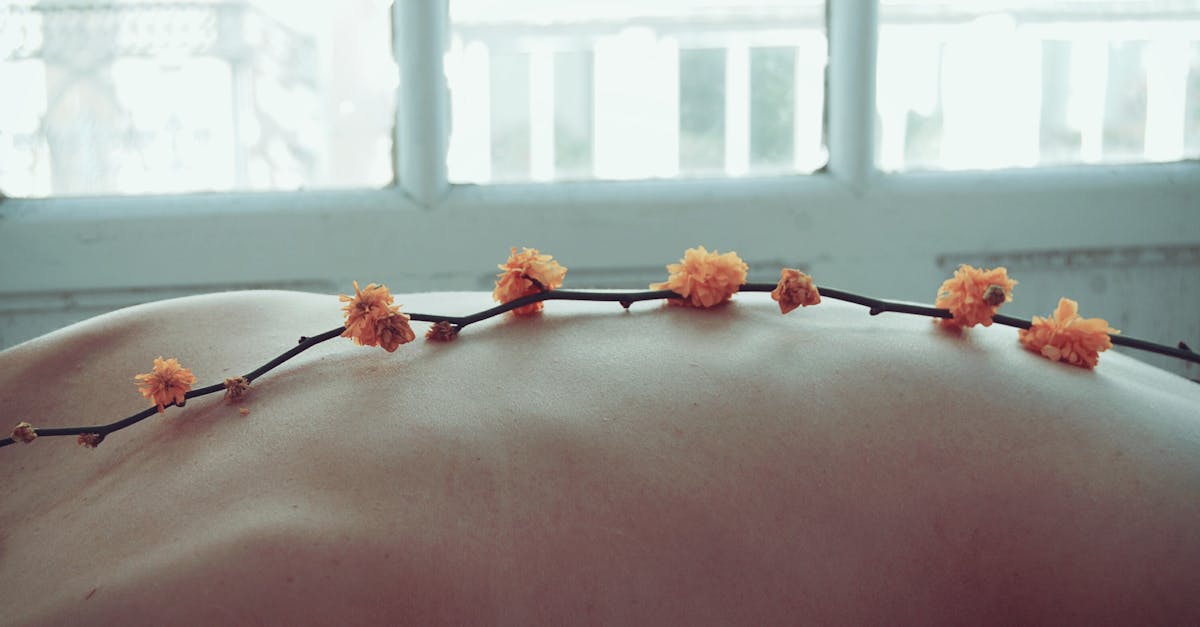 découvrez le bien-être sous toutes ses formes avec nos conseils pratiques, nos techniques de relaxation et nos astuces pour une vie équilibrée. plongez dans l'univers du wellness pour améliorer votre santé physique et mentale.