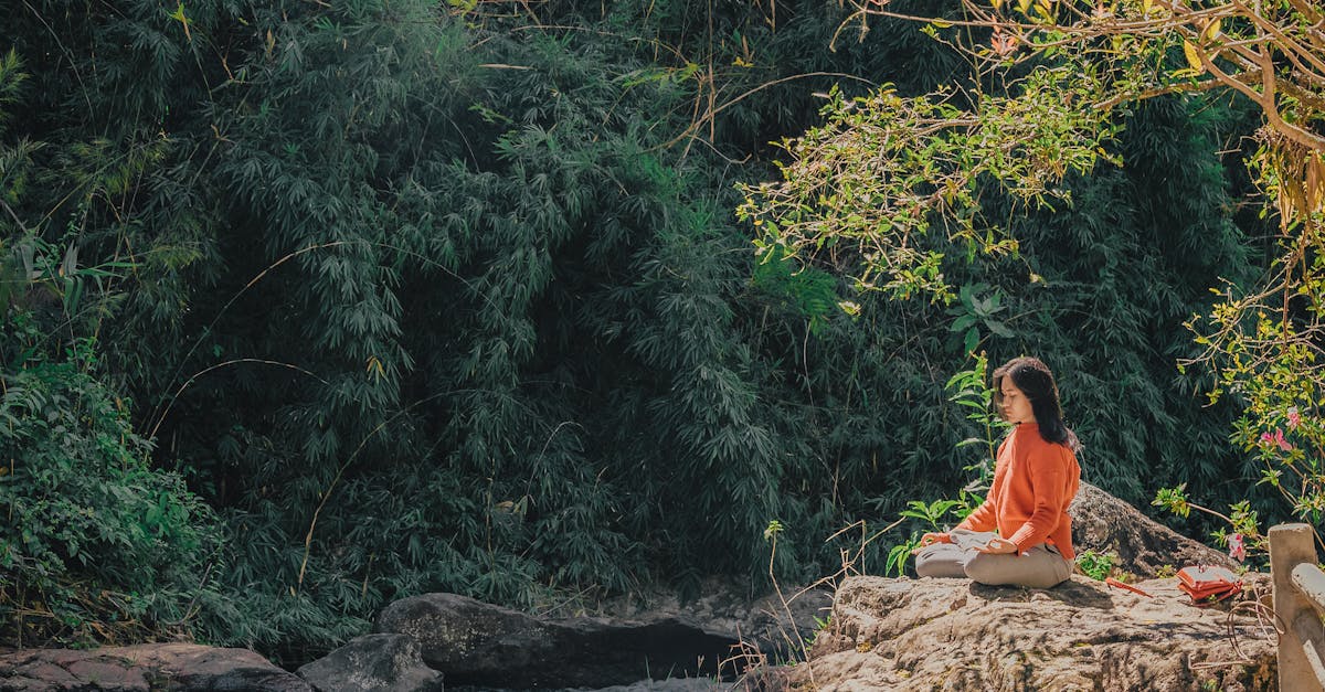 découvrez l'harmonie du corps et de l'esprit avec le yoga. que vous soyez débutant ou pratiquant avancé, explorez des postures, des techniques de respiration et des conseils pour améliorer votre bien-être au quotidien.